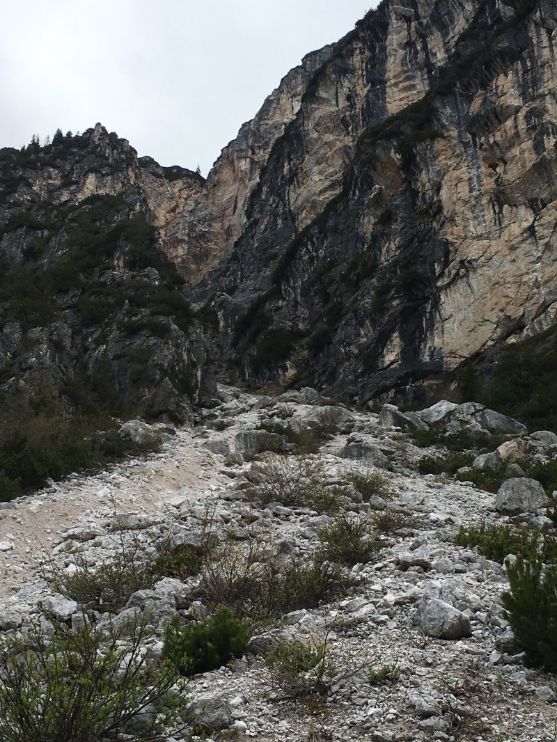 sentiero per il Tudaio "dei mede"