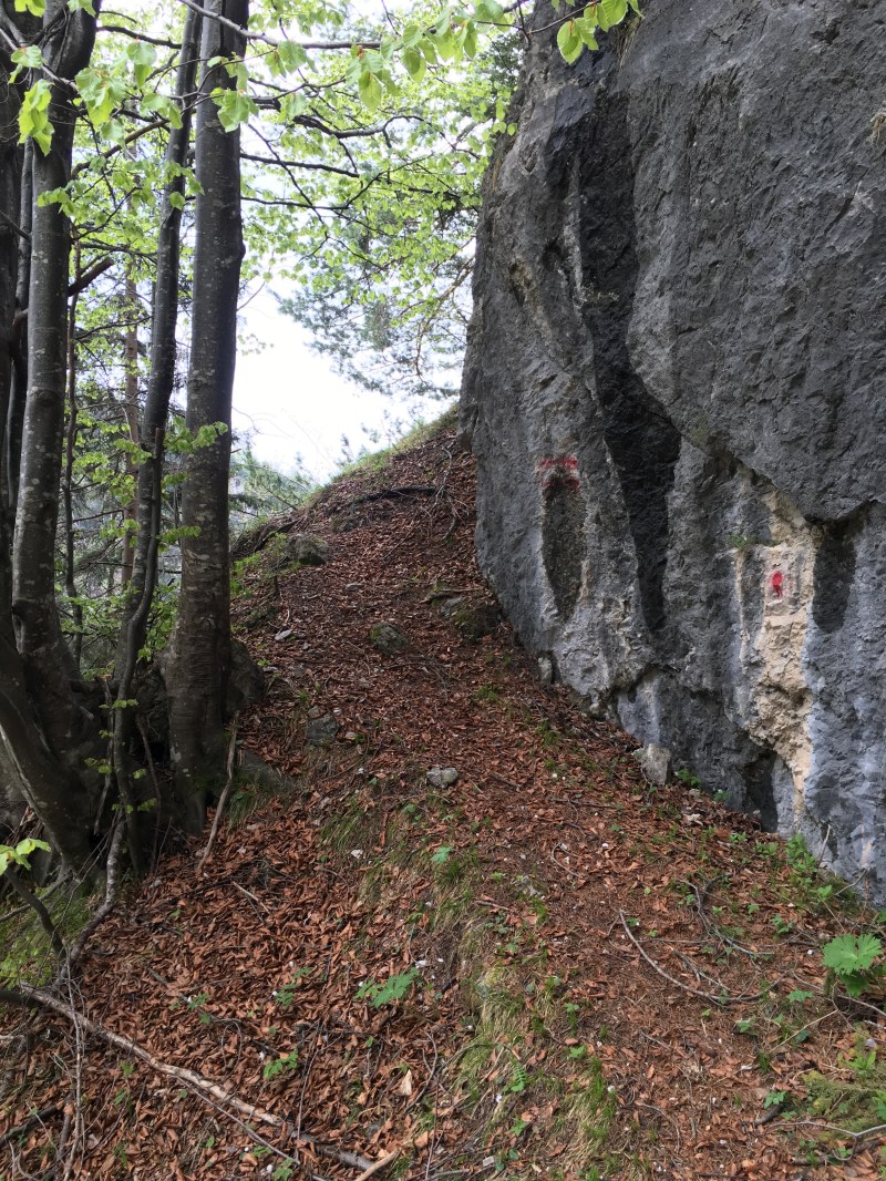 sentiero per il Tudaio "dei mede"