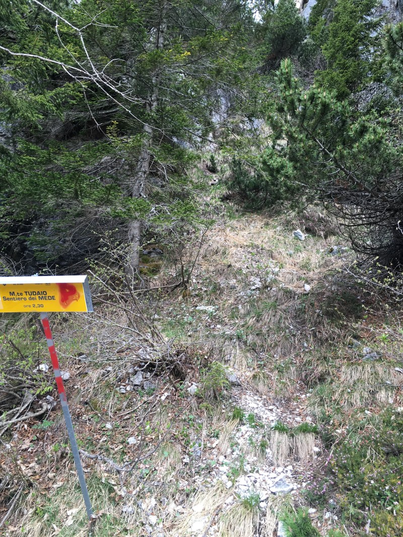 sentiero per il Tudaio "dei mede"