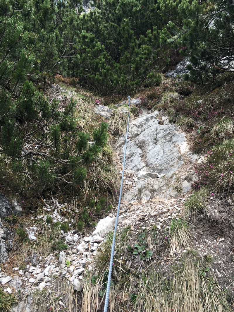 sentiero per il Tudaio "dei mede"