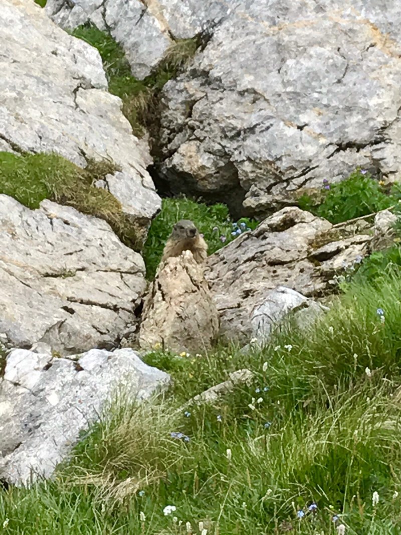 Cima M. Peralba per ferrata Sartor